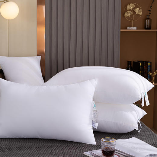 多喜爱美眠康对枕洛兰压花抑菌枕一对DZ 商品图0