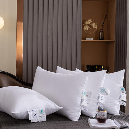 多喜爱美眠康对枕洛兰压花抑菌枕一对DZ 商品图4