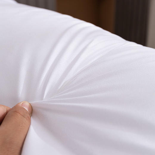 多喜爱美眠康对枕洛兰压花抑菌枕一对DZ 商品图3