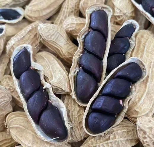鲤妤富硒黑珍珠花生500g 商品图1