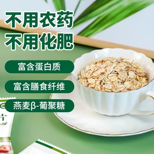 【福利购】420g第三主粮有机燕麦片 即食营养早餐冲泡免煮老人饱腹代餐 商品图1