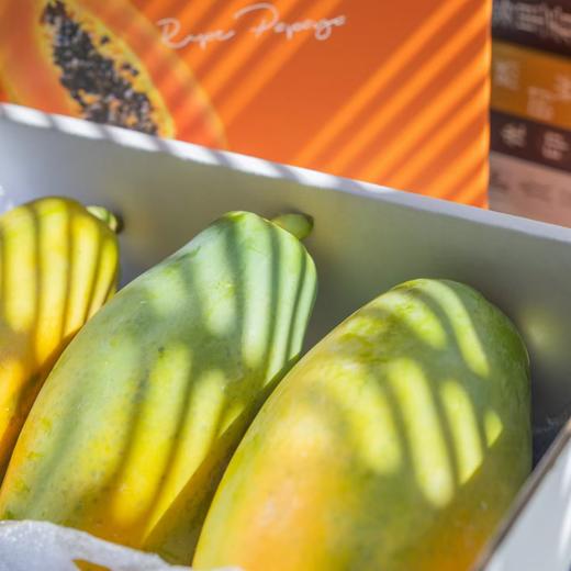 海南·树上熟「木瓜」 整件3~4个 约2.8kg 商品图5