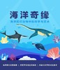 【南京】海洋奇缘 商品缩略图0