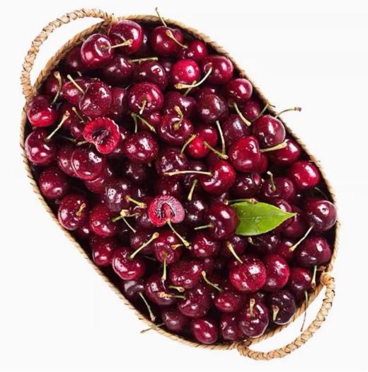 【鲜货】约5斤装2JDD奎卡 桑提娜车厘子 饱满多汁 香甜爽口  新鲜到货 原箱发货 坏果率≤5% 商品图4