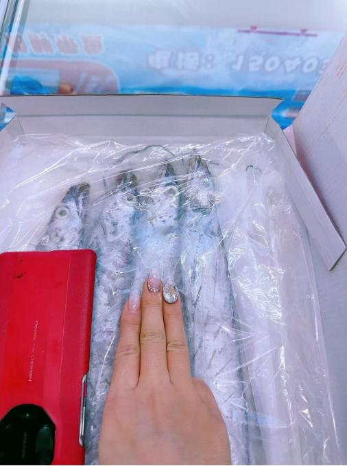 海跃腾舟山刀鱼一箱 商品图1