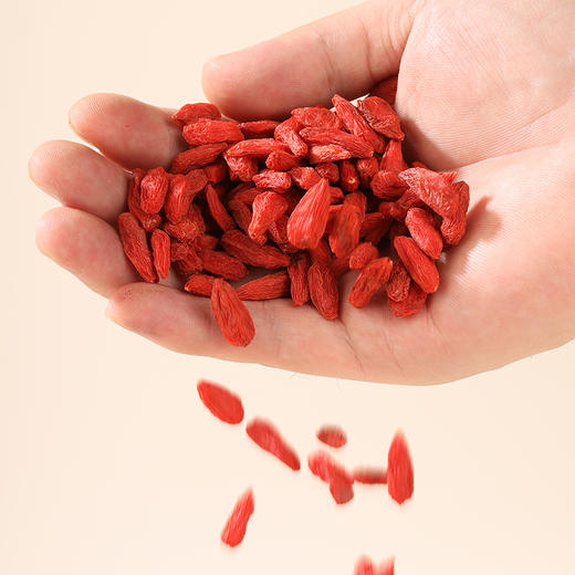 正安原材·枸杞 头茬大果自然干燥优质原材 果形纤长褶皱均匀 250g/罐【冷藏保存】 商品图2