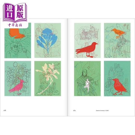 【中商原版】Nusra Latif Qureshi: Birds In Far Pavilions 进口艺术 努斯拉拉蒂夫库雷希：远亭中的小鸟 商品图3