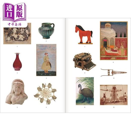 【中商原版】Nusra Latif Qureshi: Birds In Far Pavilions 进口艺术 努斯拉拉蒂夫库雷希：远亭中的小鸟 商品图2