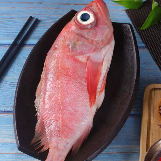 【野生海产】红石斑鱼1700±200g/条 大西洋纯净海域 商品图4