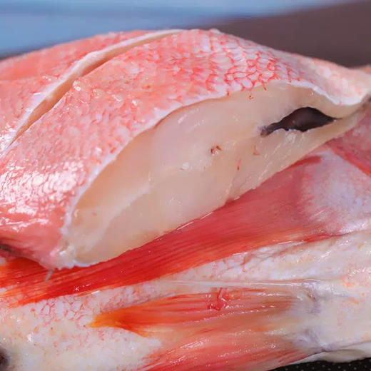 【野生海产】红石斑鱼1700±200g/条 大西洋纯净海域 商品图5