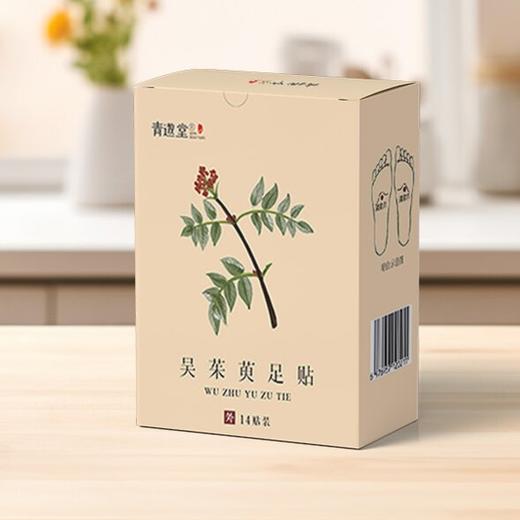 吴茱萸足贴  草本研制，暖从足下生  两个规格可选 商品图4
