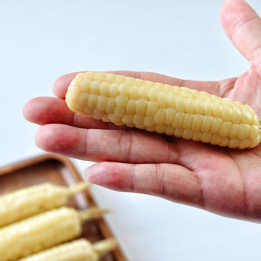 西双版纳原种800年带皮拇指玉米 商品图2