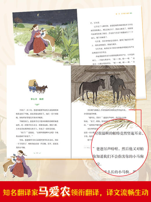 成长树-国际大奖儿童文学典藏书系 ·第二辑 礼盒装全6册 ＋赠品  6-15岁 赠一册联名款《读书笔记》 商品图3