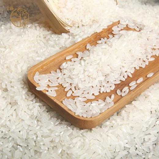 东北五常大米（约500g)散 商品图0