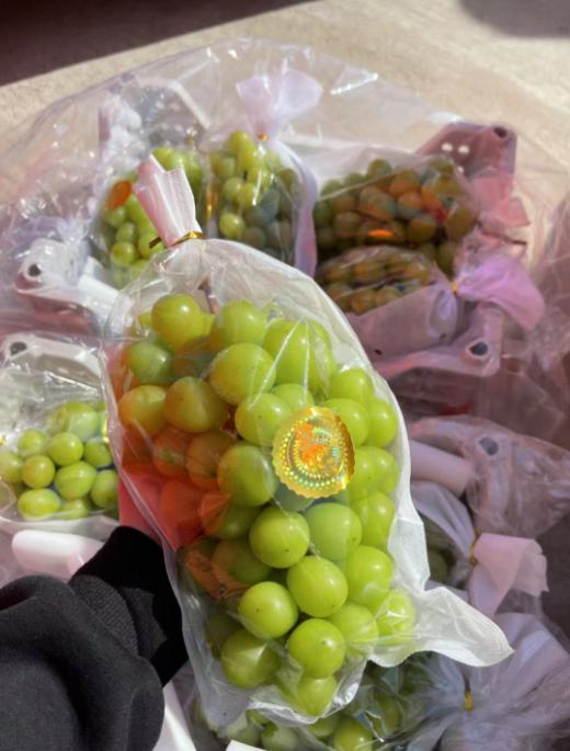 香印青提 商品图0