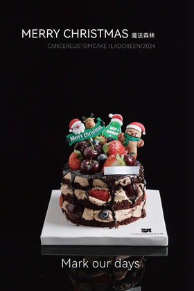 圣诞魔法森林（插件随机放）