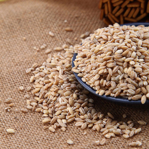 有机大麦米（旱禾源）400g 商品图0