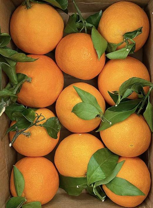 9.9元/2斤爱媛果冻橙 商品图0