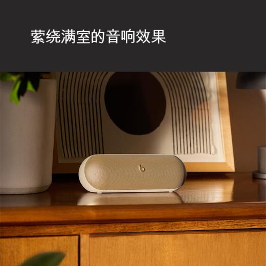 Beats Pill 无线蓝牙扬声器 商品图8