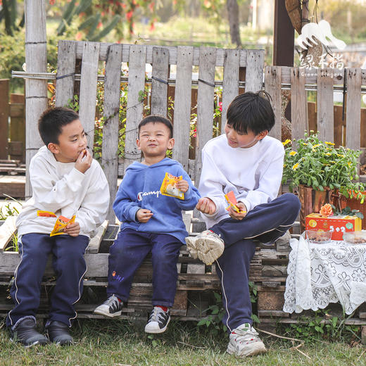 生态每日坚果礼盒 | 合作生产*Ecological daily nuts |  Partner Production 商品图2