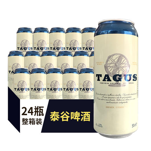 西班牙泰谷啤酒  4.8%vol 500ml*24瓶 商品图0