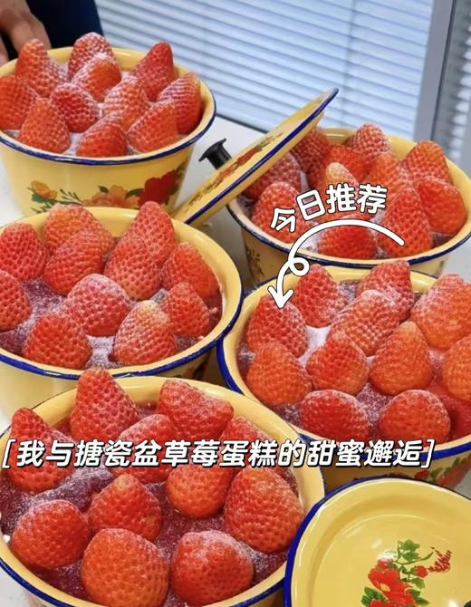 搪瓷草莓盆 商品图0