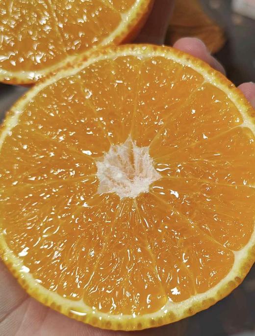 9.9元/2斤爱媛果冻橙 商品图3