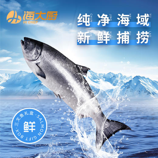 2026年三文鱼礼盒 商品图1