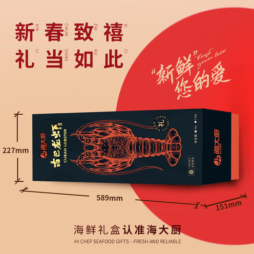 2026古巴龙虾礼盒3-3.5斤/盒 商品图5