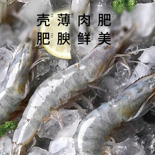 2026精品白虾礼盒 1.4kg 商品图6