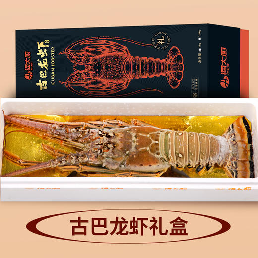 2026古巴龙虾礼盒3-3.5斤/盒 商品图2