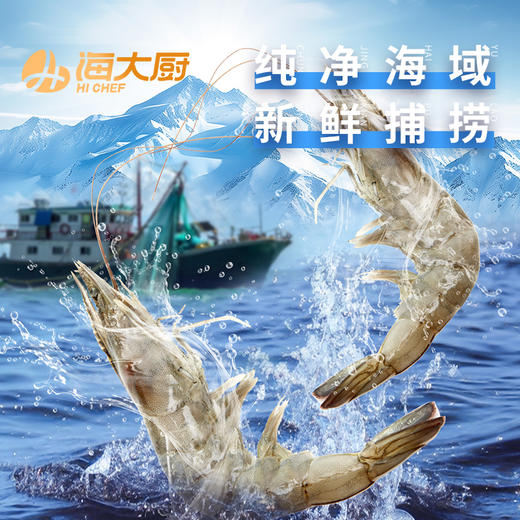 2026精品白虾礼盒 1.4kg 商品图1
