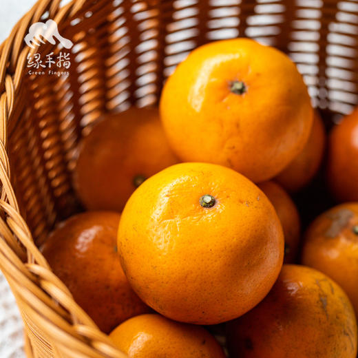 生态沃柑（清远，中通） | 合作生产*Eco-orah | Partner Production 商品图3