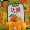 云南哀牢山沃柑  5Kg/件 【KM】 商品缩略图0