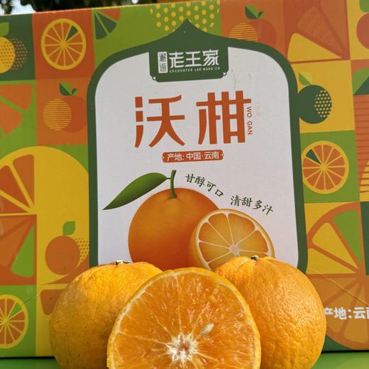 云南哀牢山沃柑  5Kg/件 【KM】 商品图0