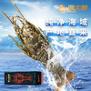 2026古巴龙虾礼盒3-3.5斤/盒 商品缩略图1