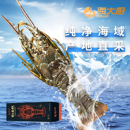 2026古巴龙虾礼盒3-3.5斤/盒 商品图1