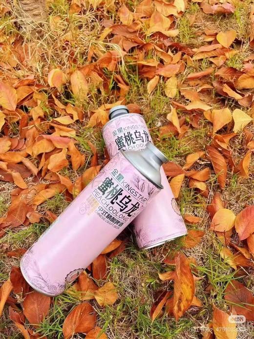 金星啤酒一箱 商品图2
