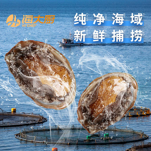 2026大连鲍鱼礼盒 商品图1