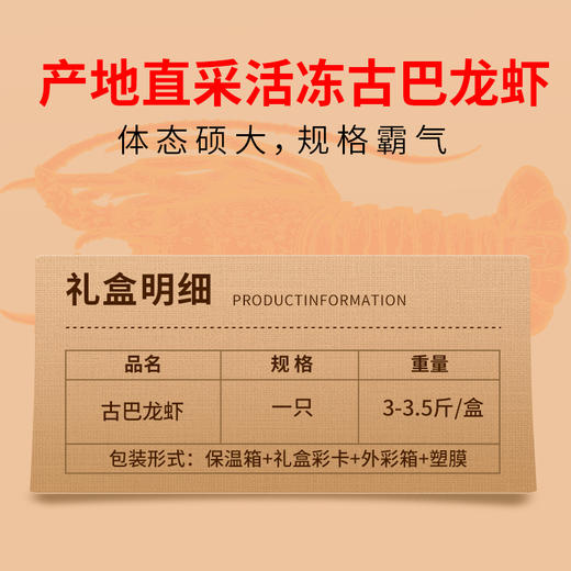 2026古巴龙虾礼盒3-3.5斤/盒 商品图3