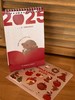 2025年“苹苹安安”日历 商品缩略图6
