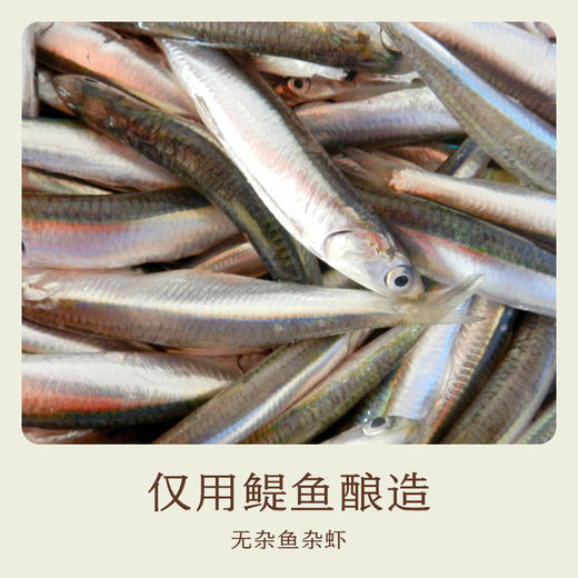 南食召 本鲜鱼露 商品图2