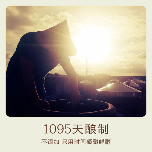 南食召 本鲜鱼露 商品图3