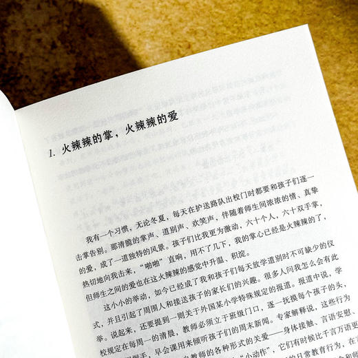 优秀班主任60个管理创意 全国中小学班主任培训用书 大夏书系 陈海滨 商品图9
