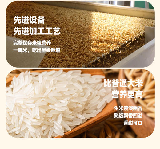 三餐 丝苗米 5kg*包 商品图3