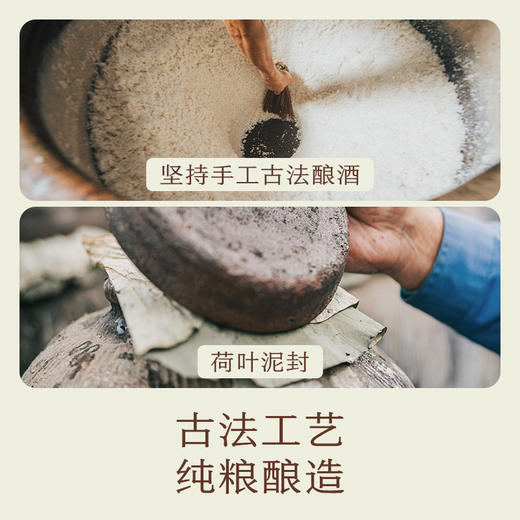 本真花雕酒 商品图2
