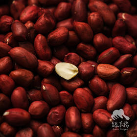 生态红皮花生 | 合作生产*Ecological red-skinned peanuts | Partner Production