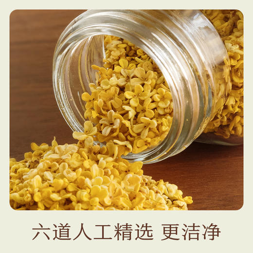 本真干桂花 商品图2
