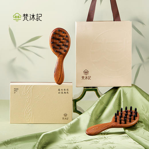 梵沐记萌芽按摩梳（直齿） 商品图2