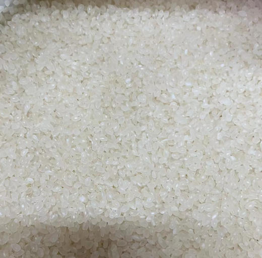 秋田香町 珍珠米10kg【LY】 商品图1